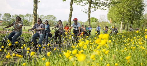 Groep fietsers lente