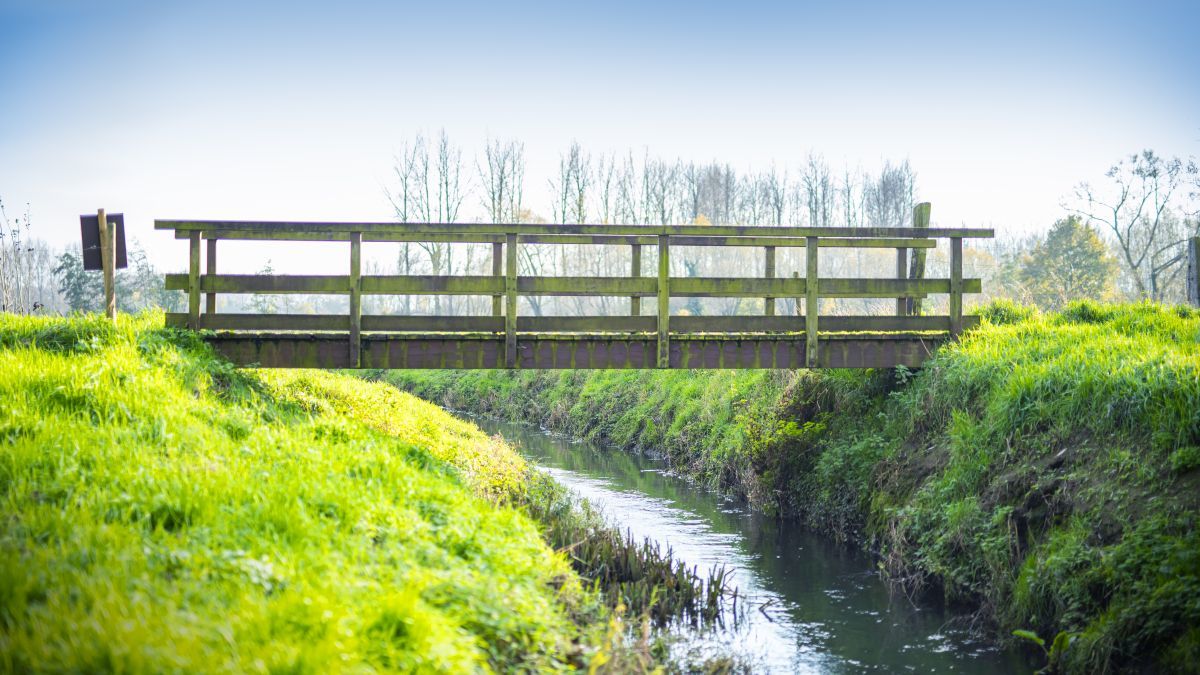 Brug over de Vliet