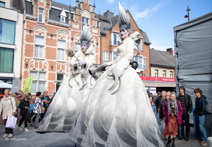 Volg Pukema op facebook