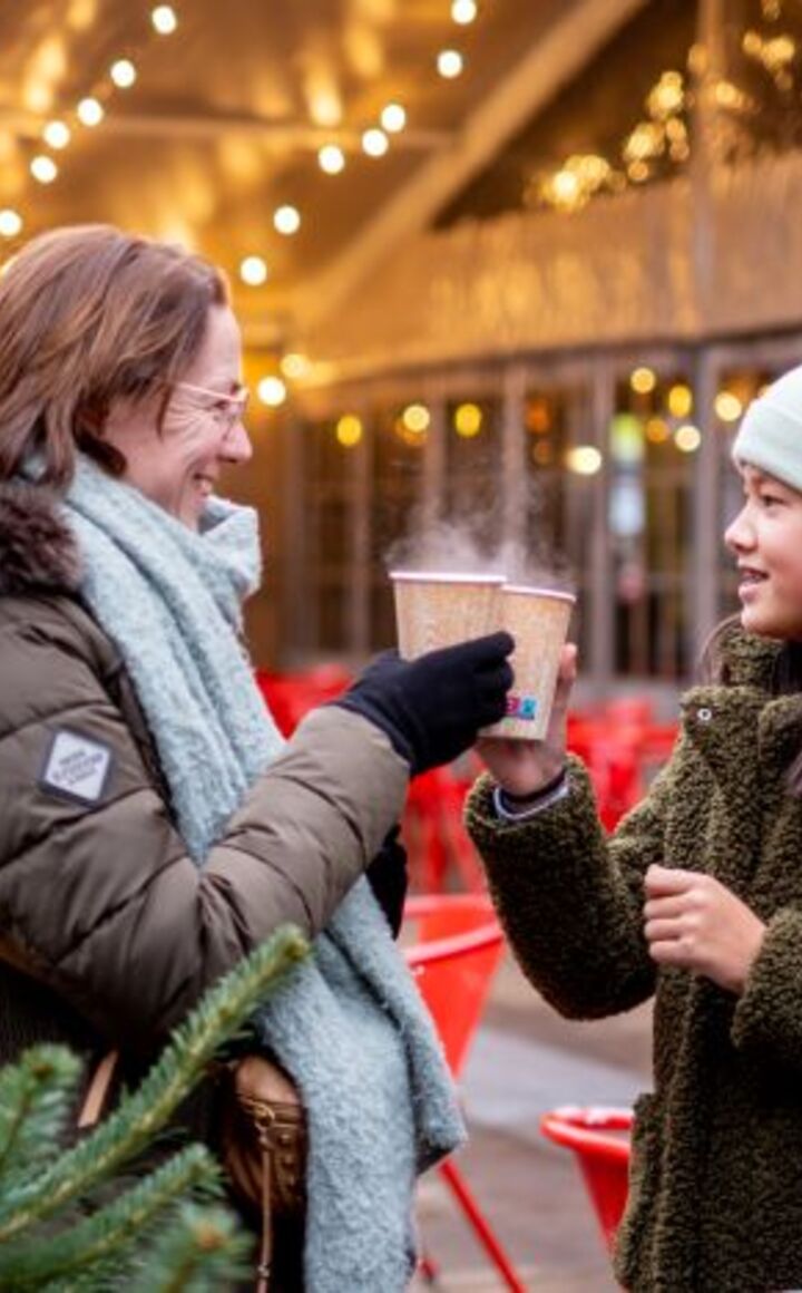 Kerstmarkt Puurs-centrum