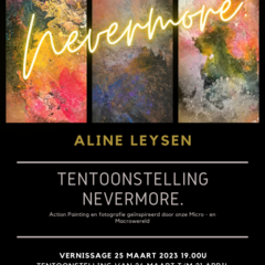 Nevermore. Tentoonstelling Action Painting en fotografie door Aline Leysen