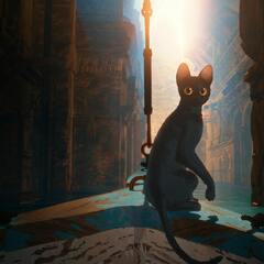 Schoolfilm: Flow (2e graad lager)