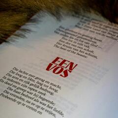 Voorleesmoment ReinAard