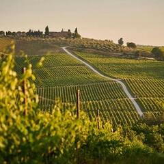 Wijnland Italië - Van noord naar zuid