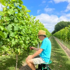 Initiatie tot wijnbouw en wijnmaken