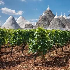 Ontdek Puglia - Laat je verrassen door typische wijnen uit de hak van de laars van Italië