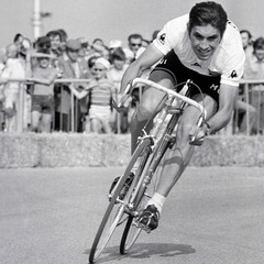 MERCKX