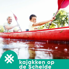 Kajakken op de Schelde