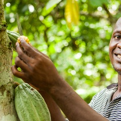 Chocoladeproeverij: een (cacao)boon voor Trias