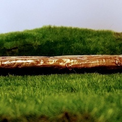 Wie wint de Gouden Asperge?