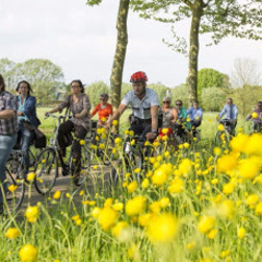 Beleef een aspergeweekend in Puurs-Sint-Amands