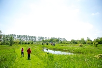 Arboretum
